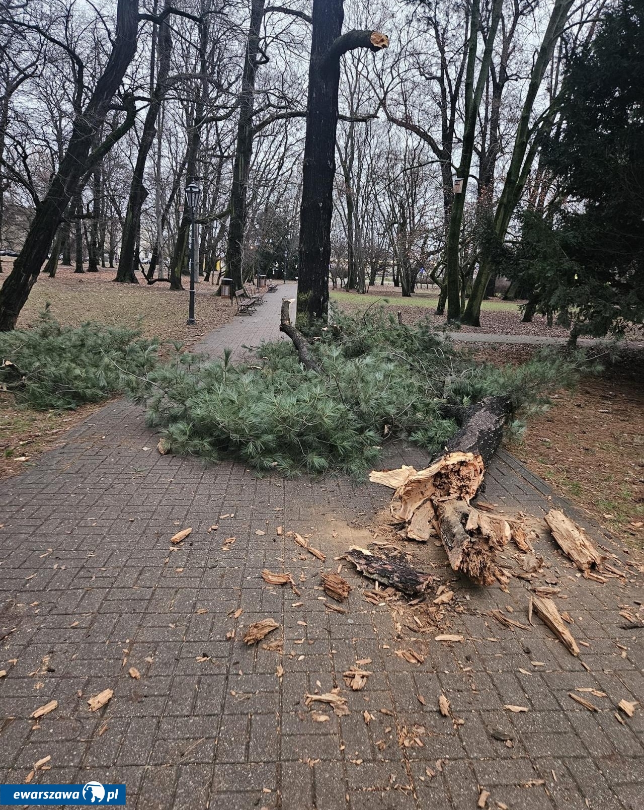 fot. Ewa Królikowska/Facebook.