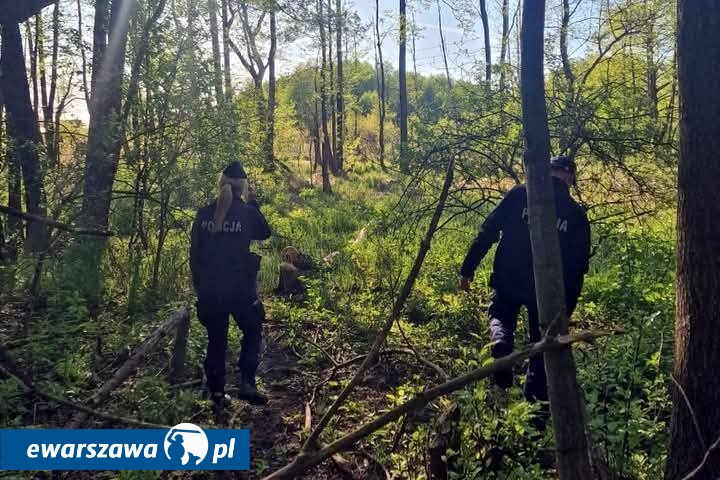 Miejsce, gdzie znaleziono 16-latkę z Mławy | fot. KKP Mława