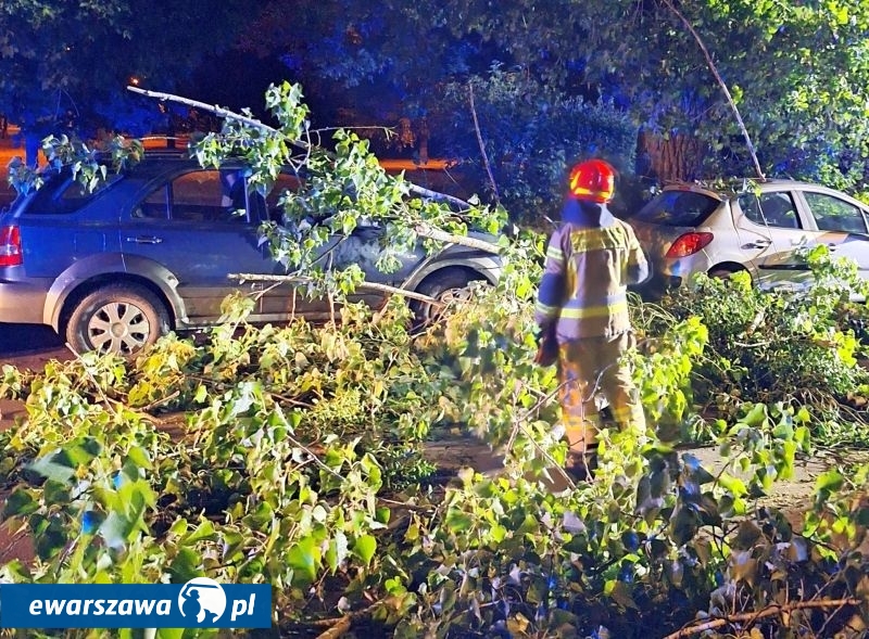 topola spadła na auta | fot. strazmiejska.waw.pl