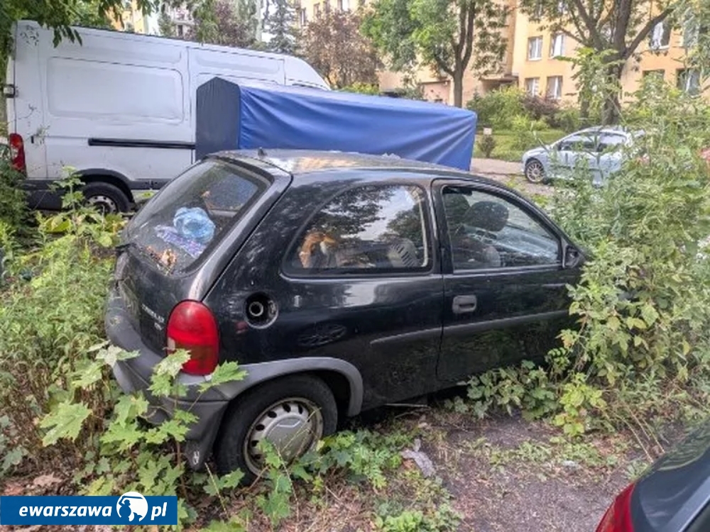 kaczki uwięzione w samochodzie | fot. strazmiejska.waw.pl
