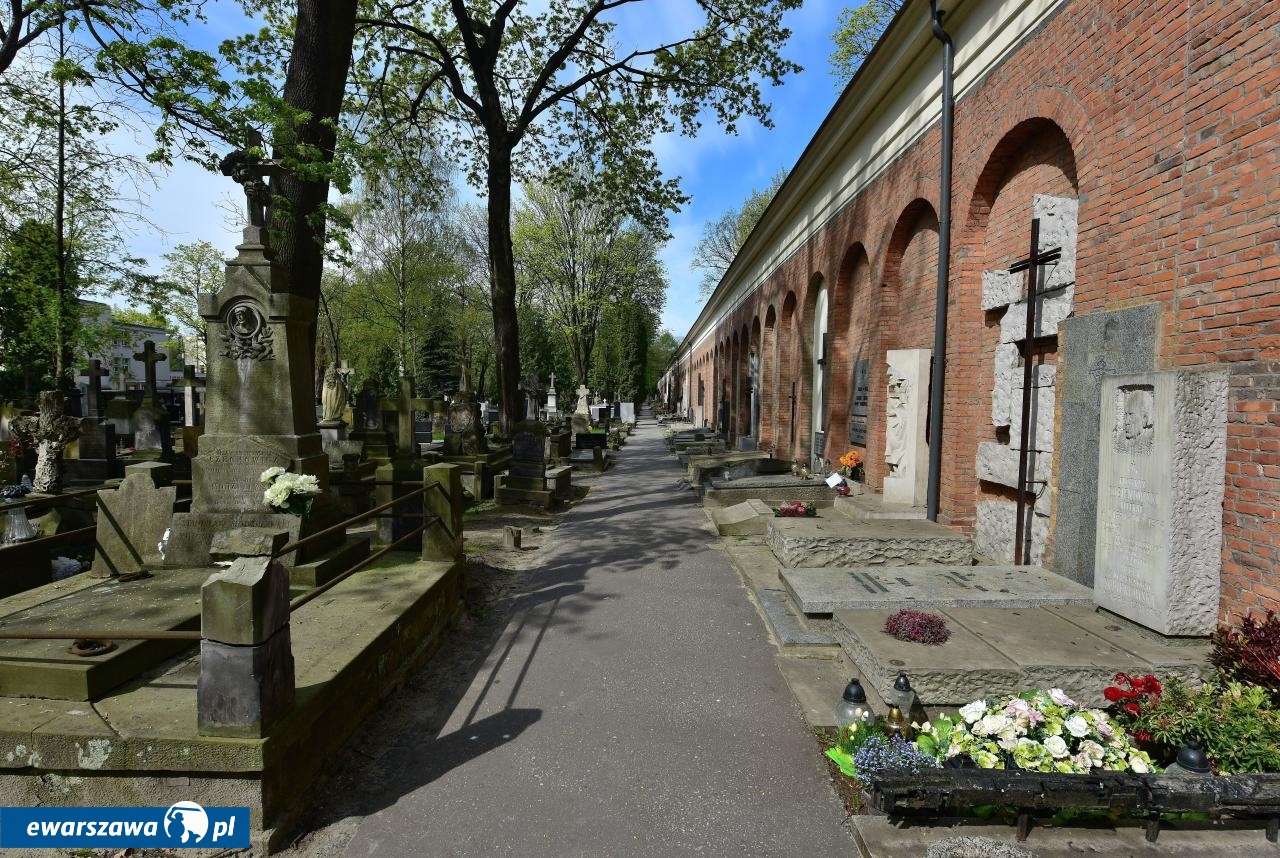 Aleja Zasłużonych na Powązkach | fot. Autorstwa Adrian Grycuk - Praca własna, CC BY-SA 3.0 pl, https://commons.wikimedia.org/w/index.php?curid=78191611