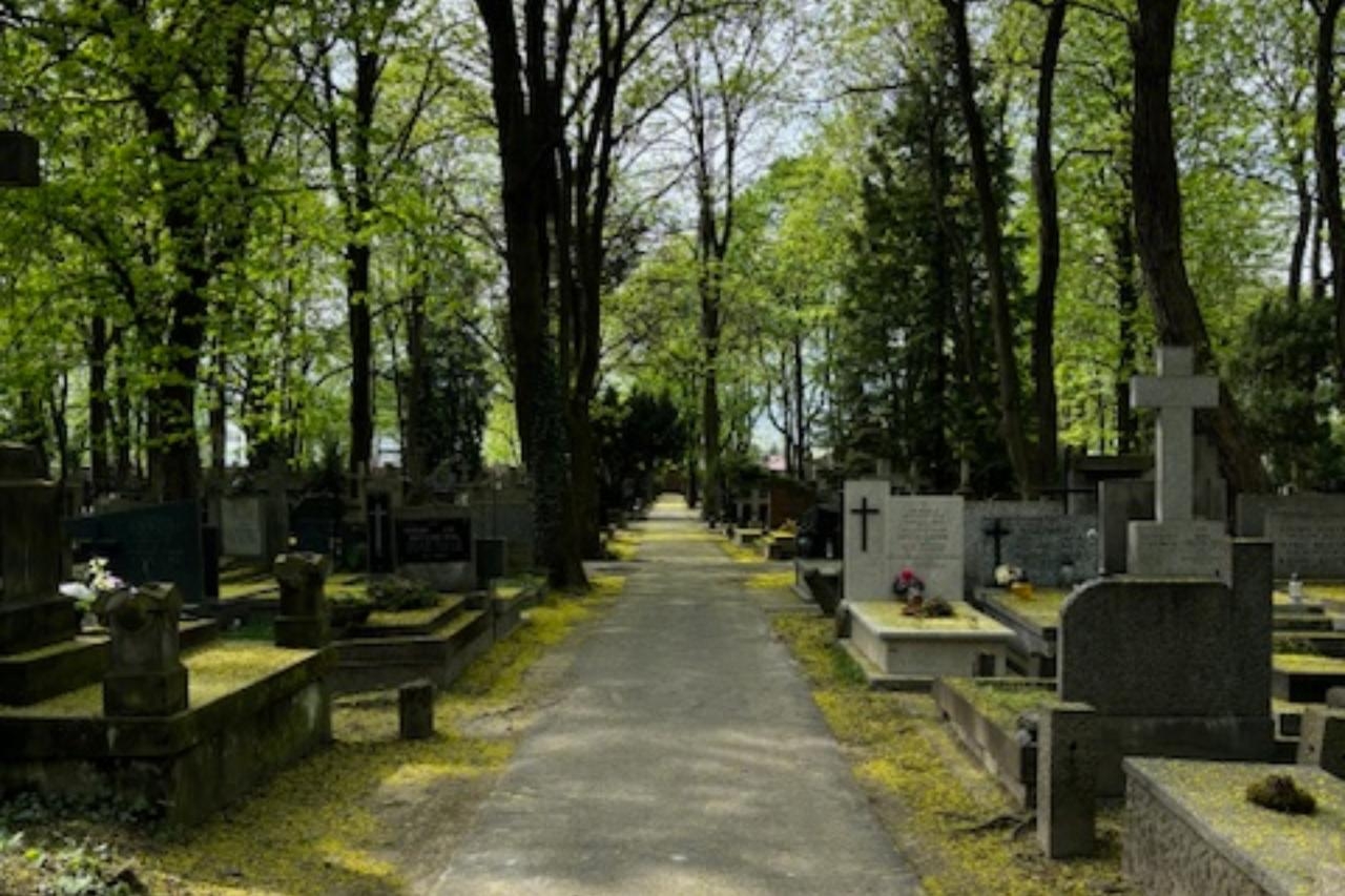 Cmentarz Powązkowski | fot. Bartosz Pańczyk