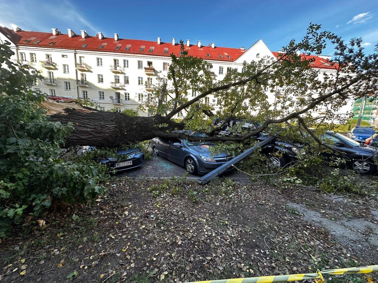 drzewo runęło na zaparkowane auta na Żoliborzu | fot. JRG APoż - Jednostka Ratowniczo-Gaśnicza Akademii Pożarniczej