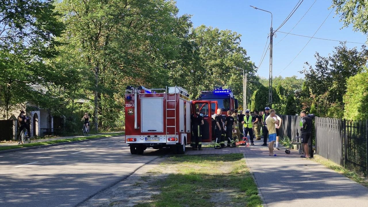 kolarze zderzyli się z dzikami | fot. OSP Celestynów / Facebook