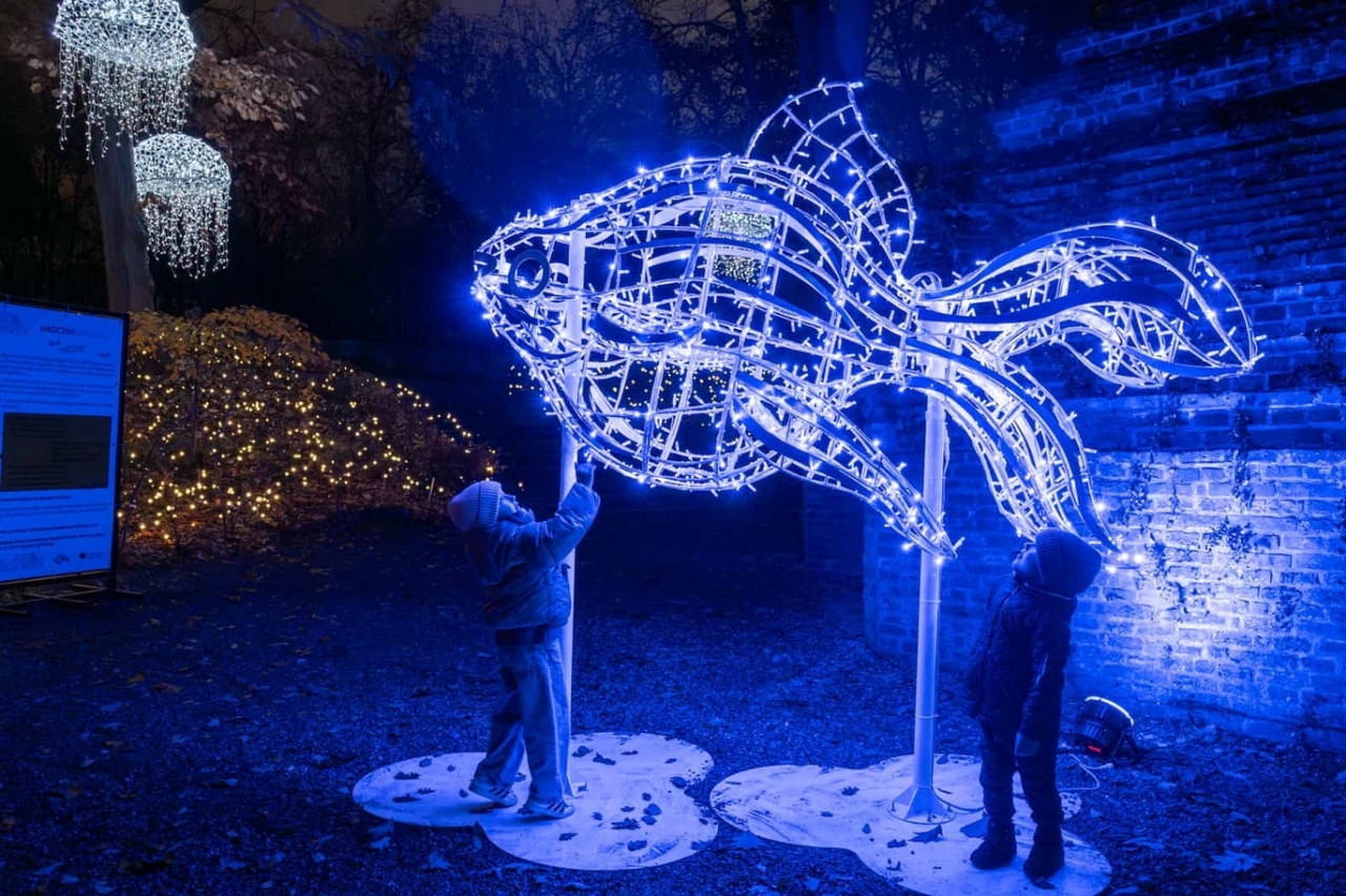 Wystawa Magiczny Botaniczny | fot. lumagica.pl/ materiały prasowe