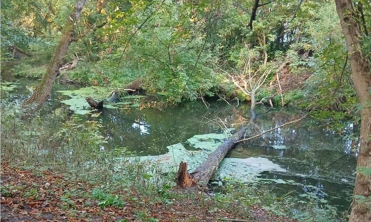miejsce wypadku | fot. KPP w Piasecznie