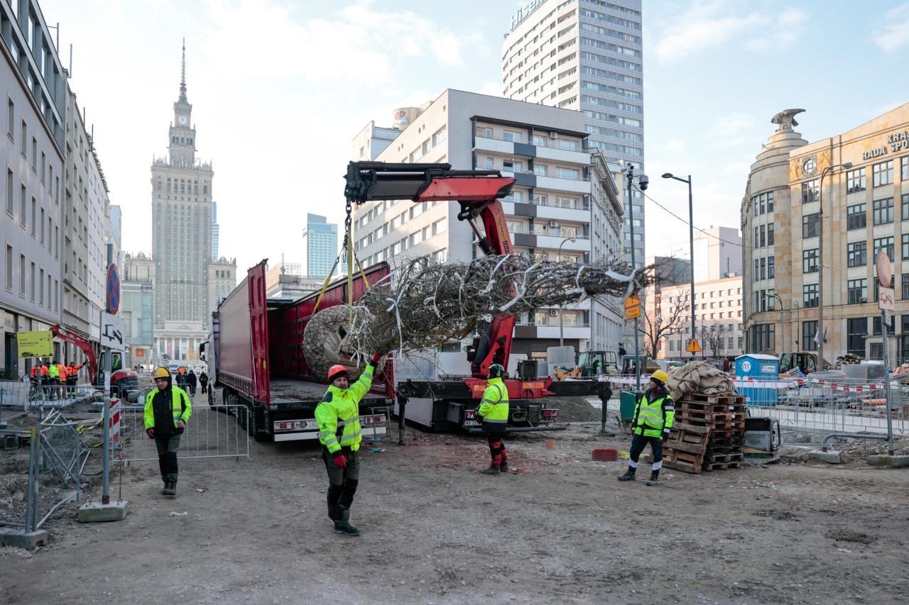 nowe drzewa przy ul. Złotej w Warszawie | fot. facebook.com/warszawa