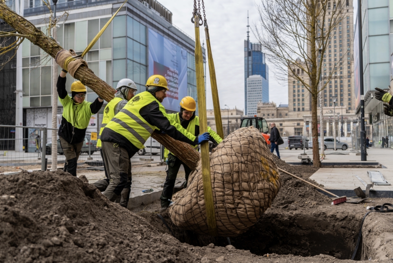 fot. ZDM Warszawa