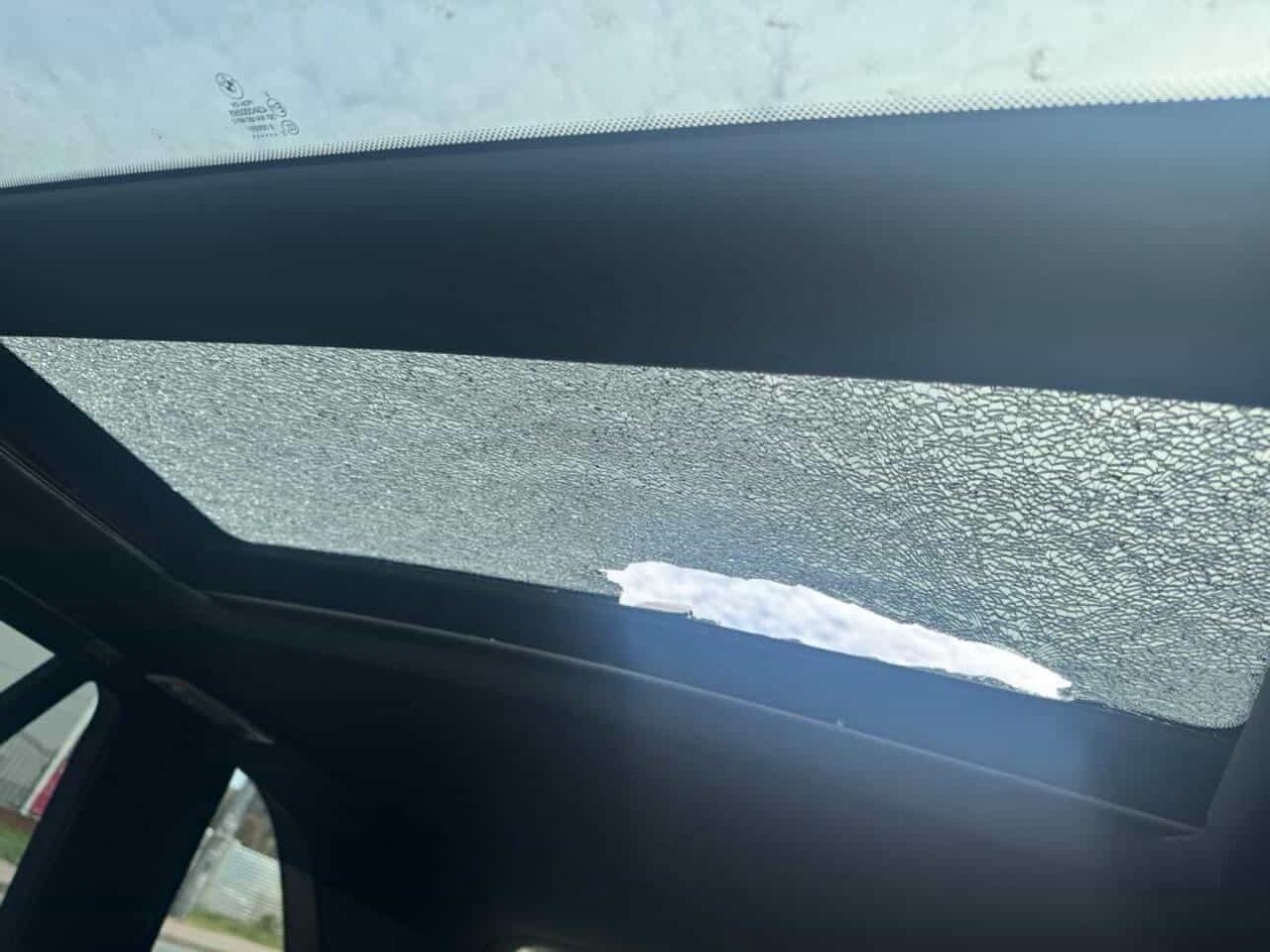 fot. Tetyana Chorna/Nasz Wilanów/Facebook.