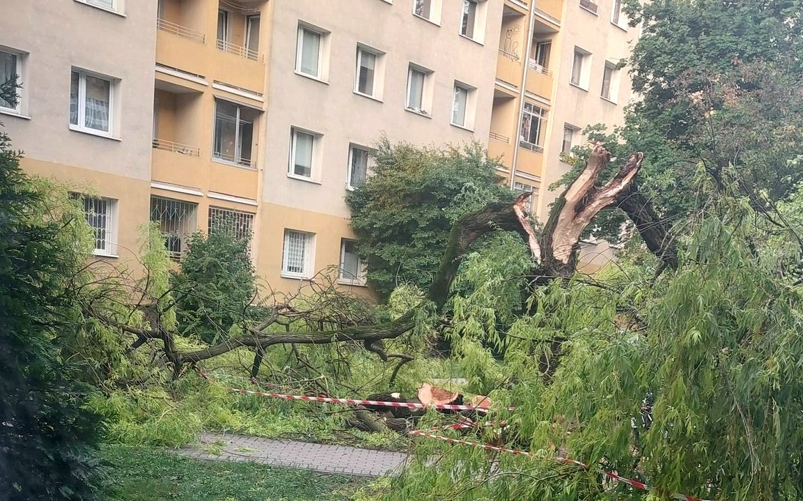 fot. Czarek C./Otwarta Ochota/FB.