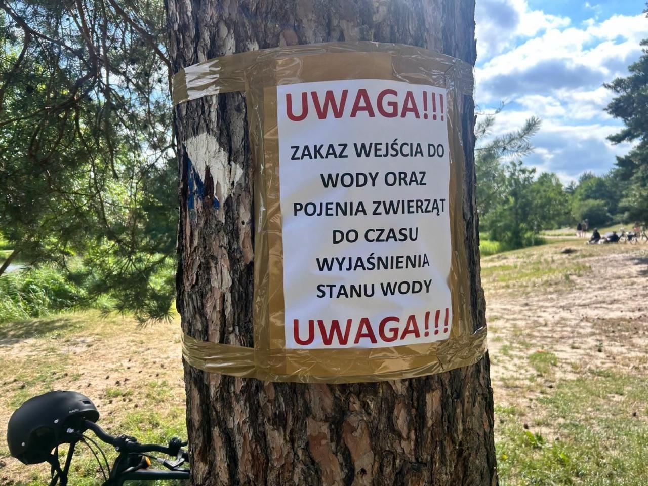 rzeka w Piasecznie, w której znaleziono dużo śniętych ryb | fot. Hanna Kułakowska-Michalak Zastępca Burmistrza/facebook