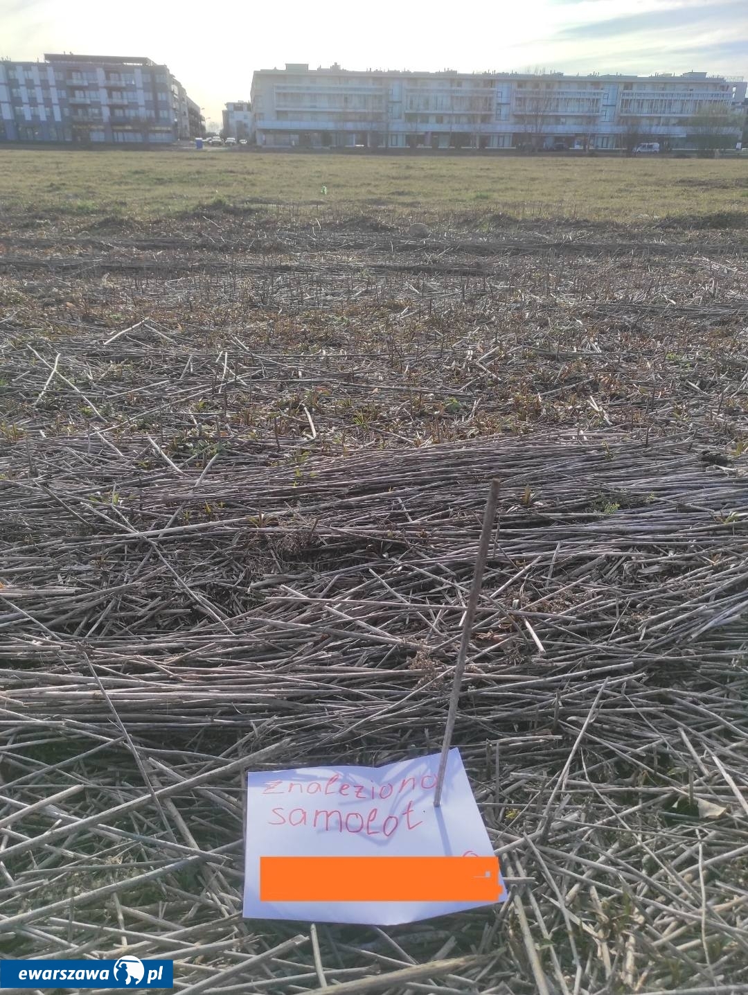 fot. Anthony Harris/Nasz Wilanów