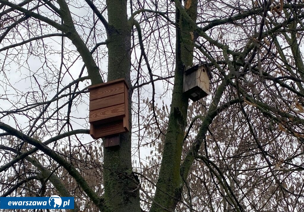 domki i budki dla nietoperzy i ptaków | fot. metro.waw.pl