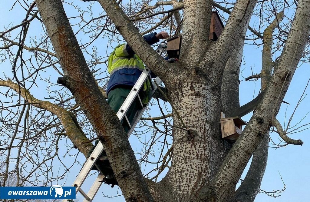 domki i budki dla nietoperzy i ptaków | fot. metro.waw.pl