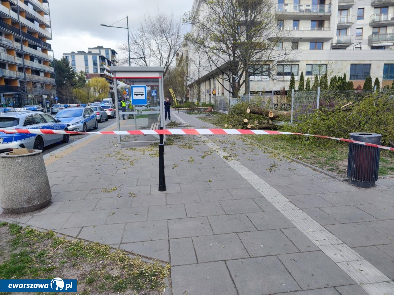 zdj. ilustracyjne | fot. facebook.com/lukaszporebskizoliborz