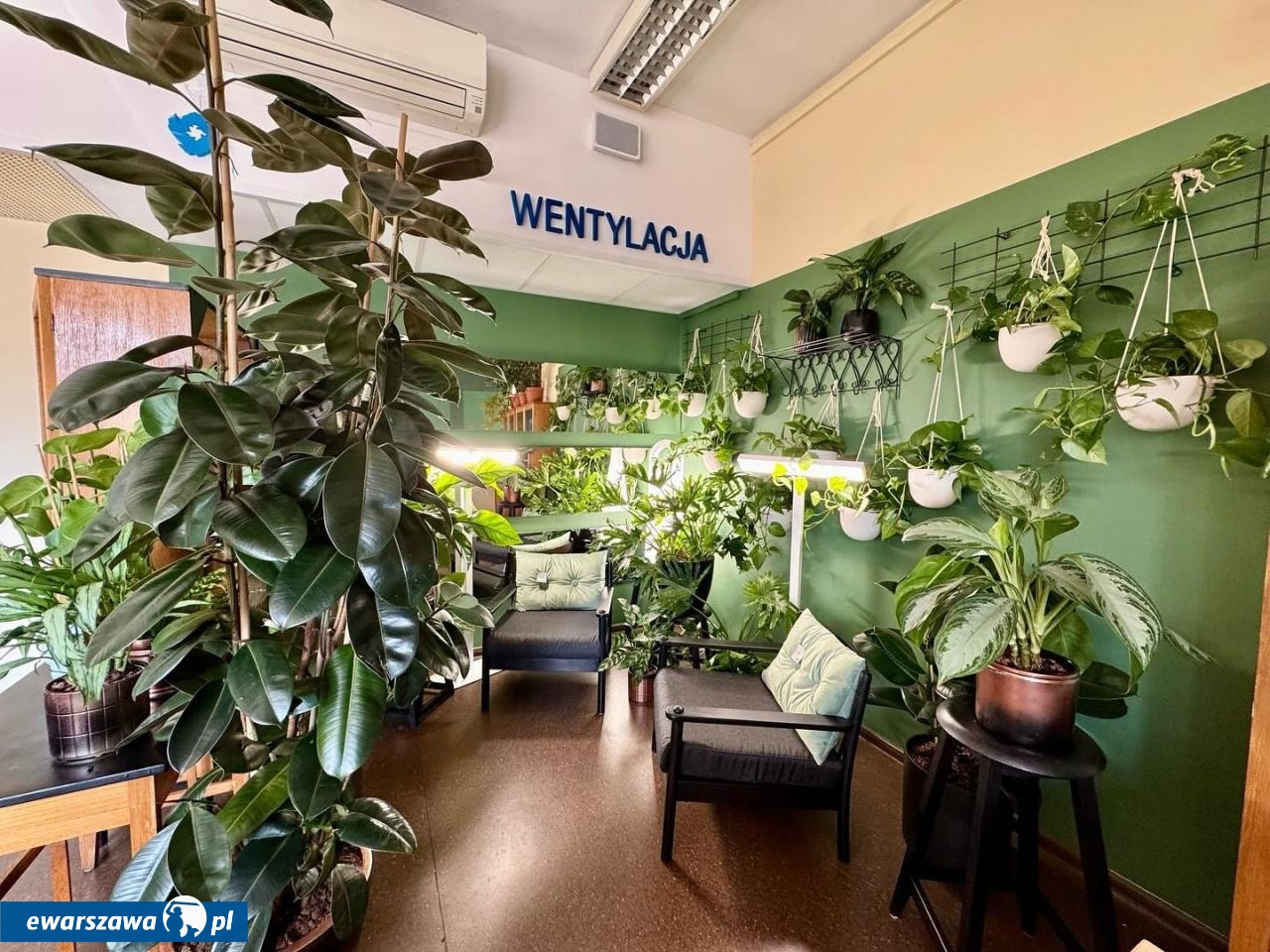 fot. facebook.com/www.florabo.eu