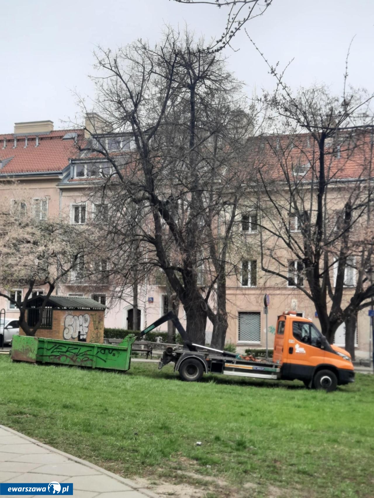 sadzenie drzew na Mariensztacie | fot. Bartosz Pańczyk