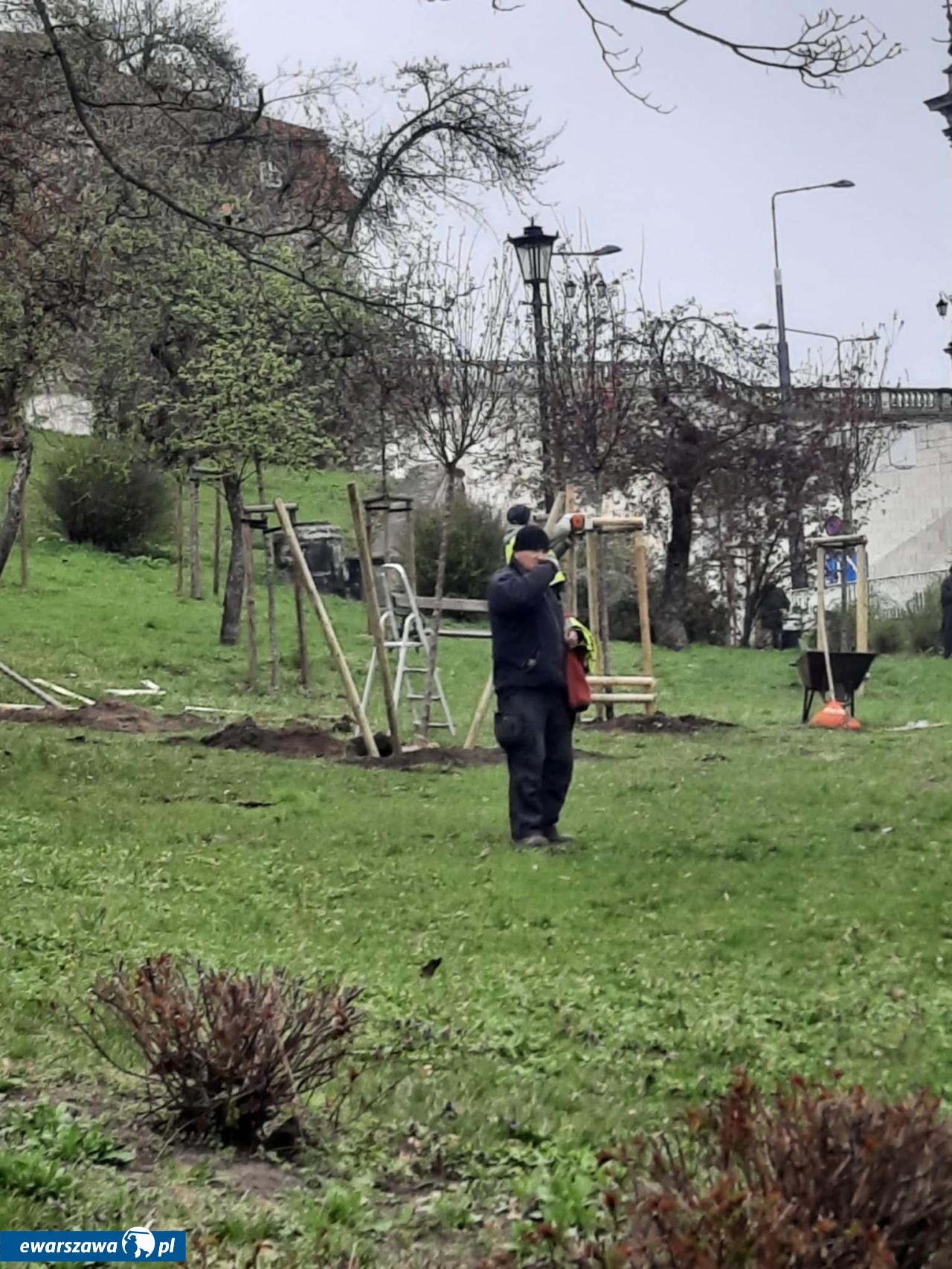 sadzenie drzew na Mariensztacie | fot. Bartosz Pańczyk