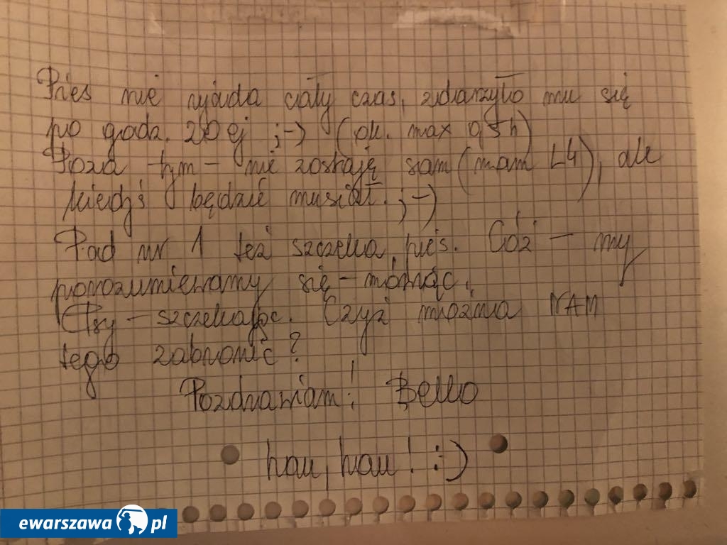 fot. sąsiedzkie uwagi o psie