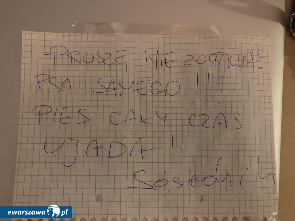 fot. sąsiedzkie uwagi o psie