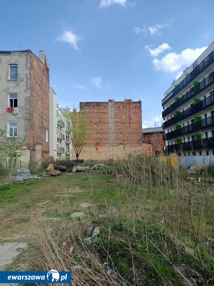 wycinka drzew przy ul. Radzymińskiej 14 | fot. facebook.com/radnymichalskidlapragi