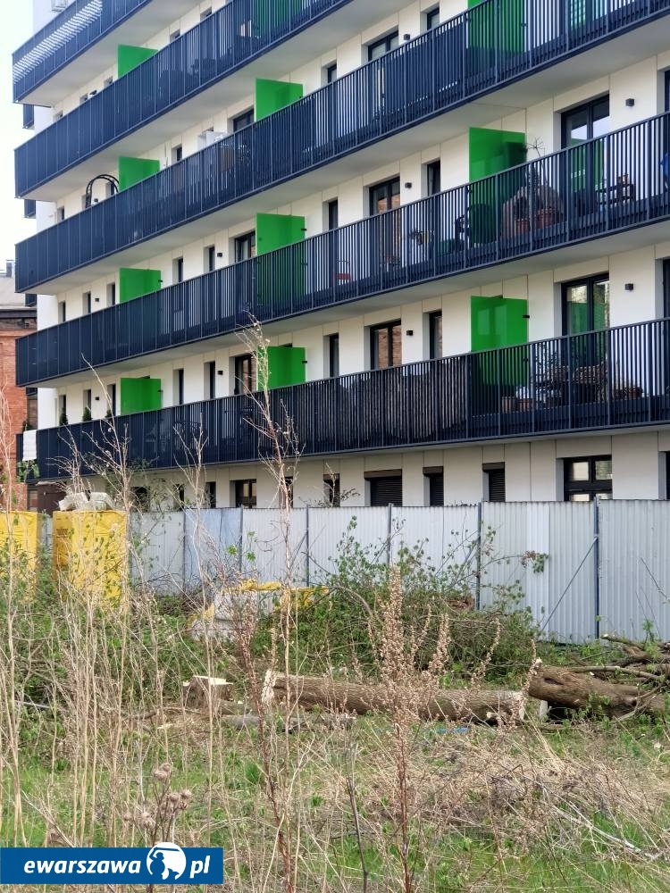 wycinka drzew przy ul. Radzymińskiej 14 | fot. facebook.com/radnymichalskidlapragi