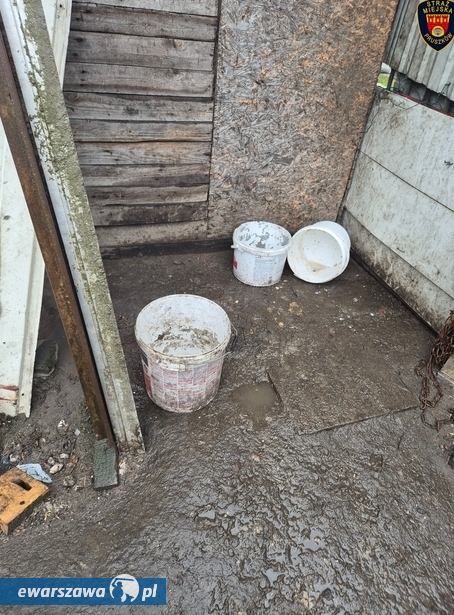 fot. Straż Miejska w Pruszkowie