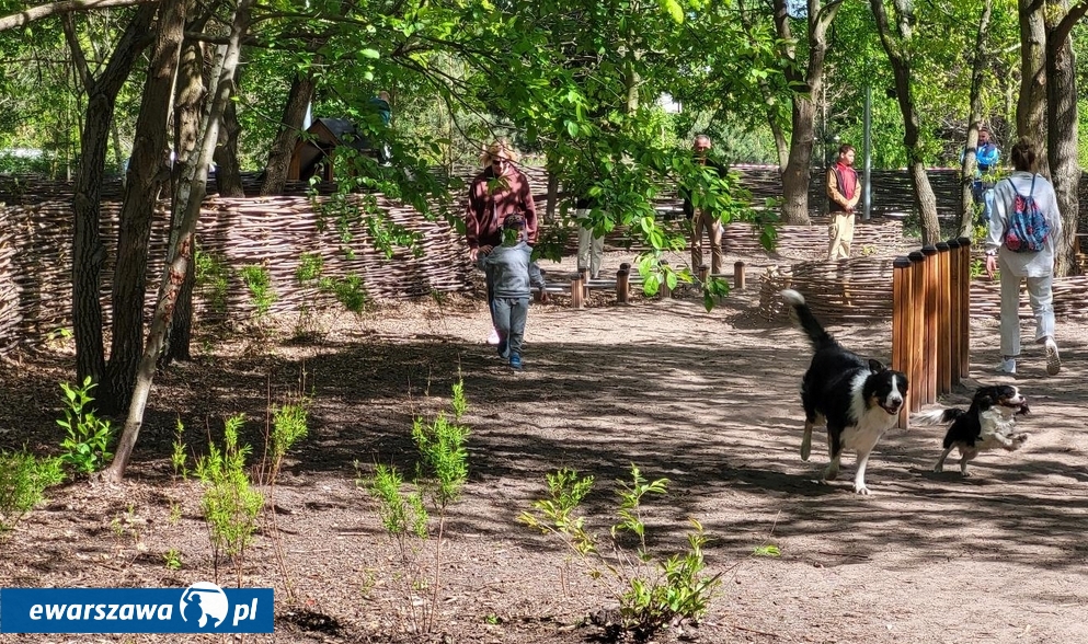 Park Aktywności Rodzinnej | fot. wawer.um.warszawa.pl