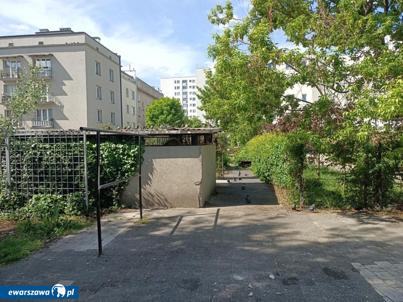 posprzątane miejsce wokół altany śmietnikowej przy ul. Łochowskiej | fot. Krzysztof Michalski / facebook.com/radnymichalskidlapragi