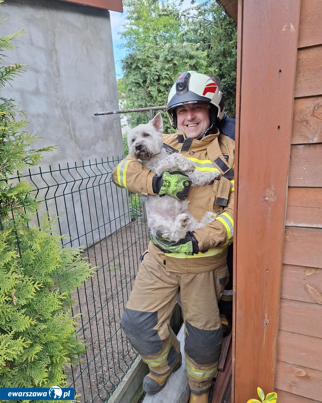 straż pożarna uratowała psa | fot. OSP Marki