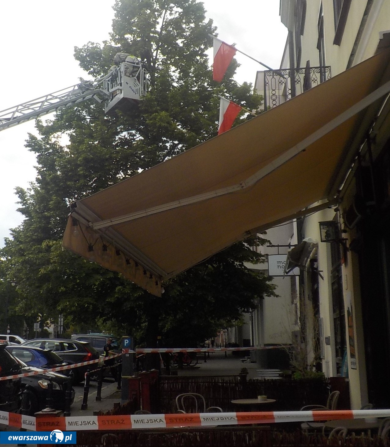 rój pszczół | fot. strazmiejska.waw.pl