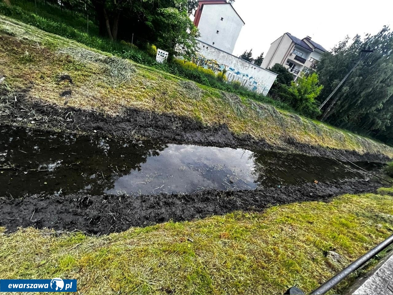 niszczenie gniazd kaczek | fot. wesola.um.warszawa.pl/
