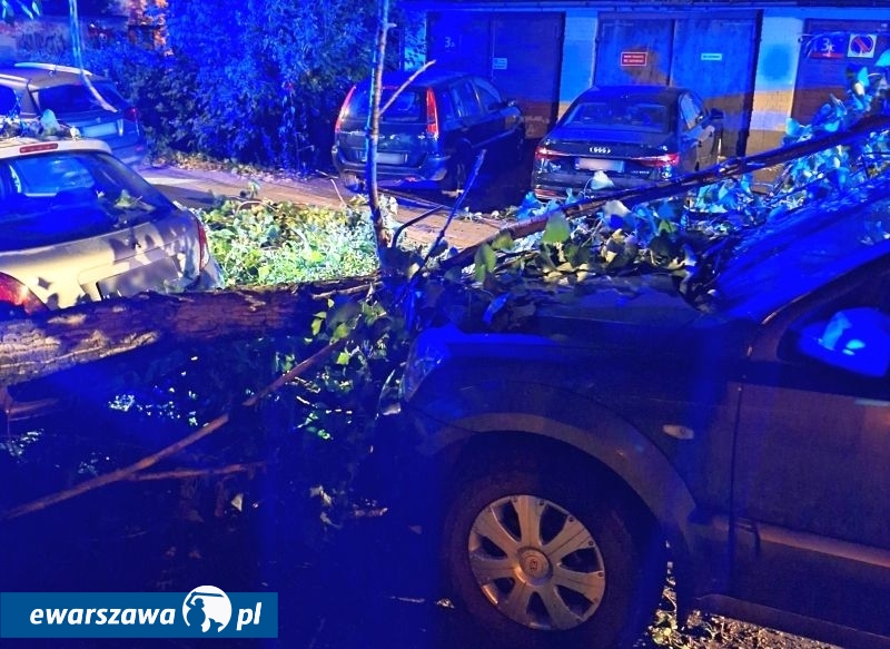 topola spadła na auta | fot. strazmiejska.waw.pl