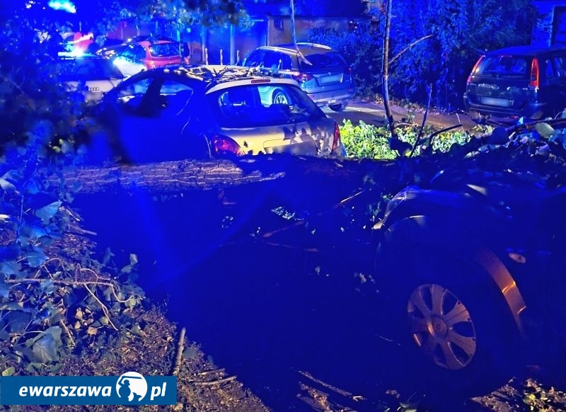 topola spadła na auta | fot. strazmiejska.waw.pl