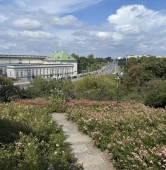 ogród św. Anny w Warszawie | fot. Bartosz Pańczyk