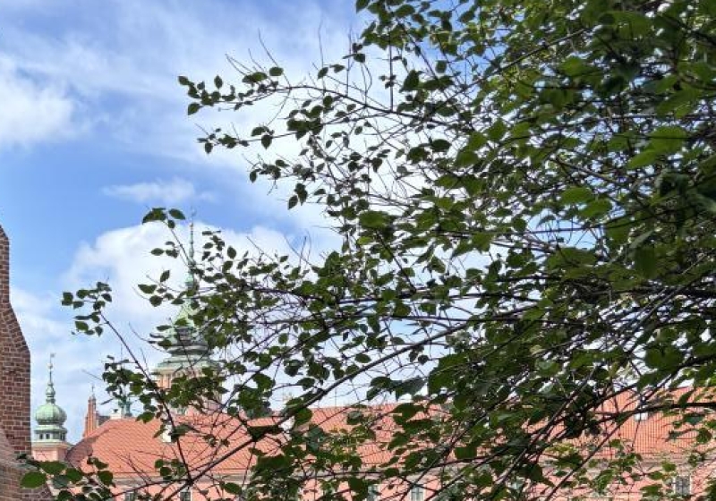 ogród św. Anny w Warszawie | fot. Bartosz Pańczyk