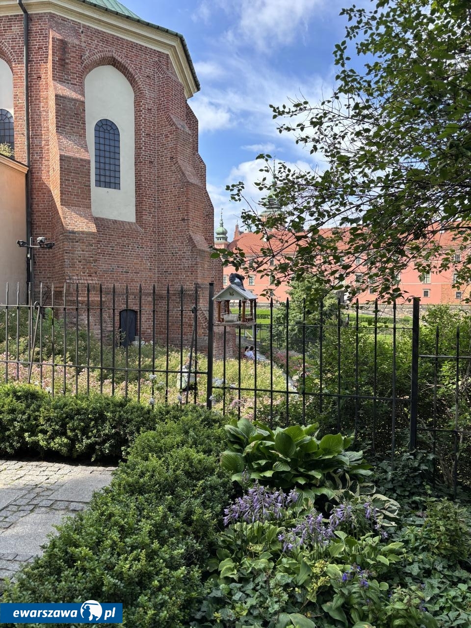 ogród św. Anny w Warszawie | fot. Bartosz Pańczyk