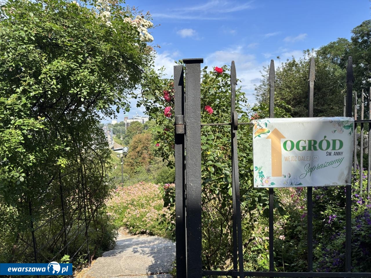 ogród św. Anny w Warszawie | fot. Bartosz Pańczyk