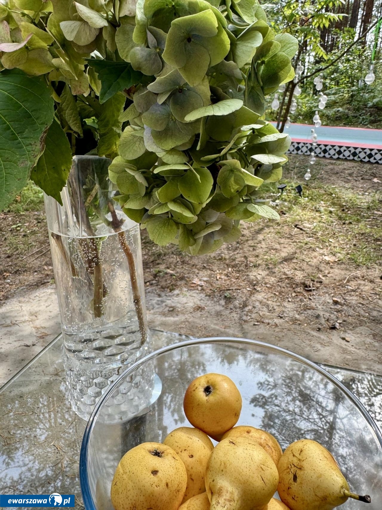 Tak mieszka Aleksandra Konieczna | fot. facebook.com/AktorkiOdkrycia