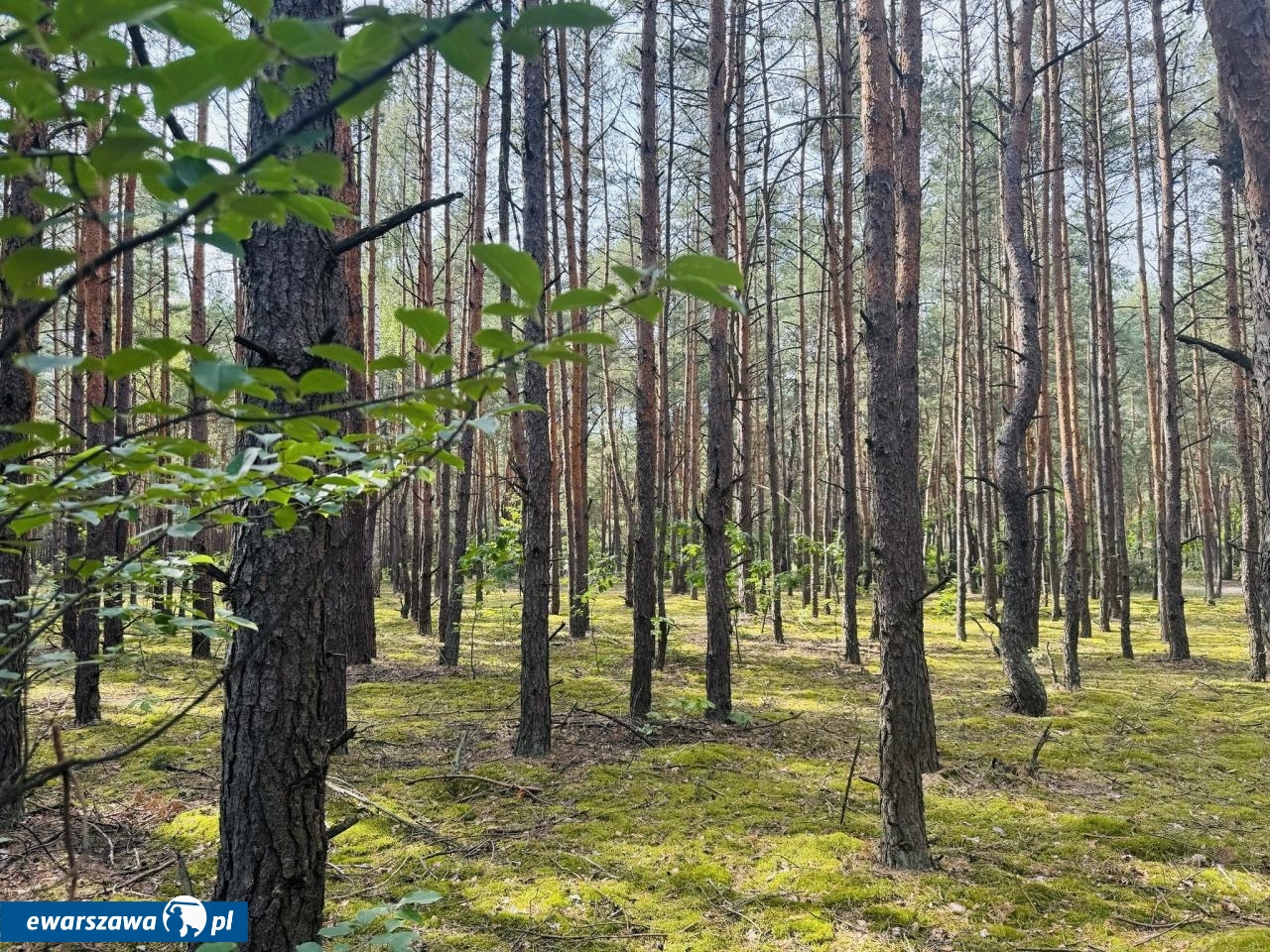 Tak mieszka Aleksandra Konieczna | fot. facebook.com/AktorkiOdkrycia