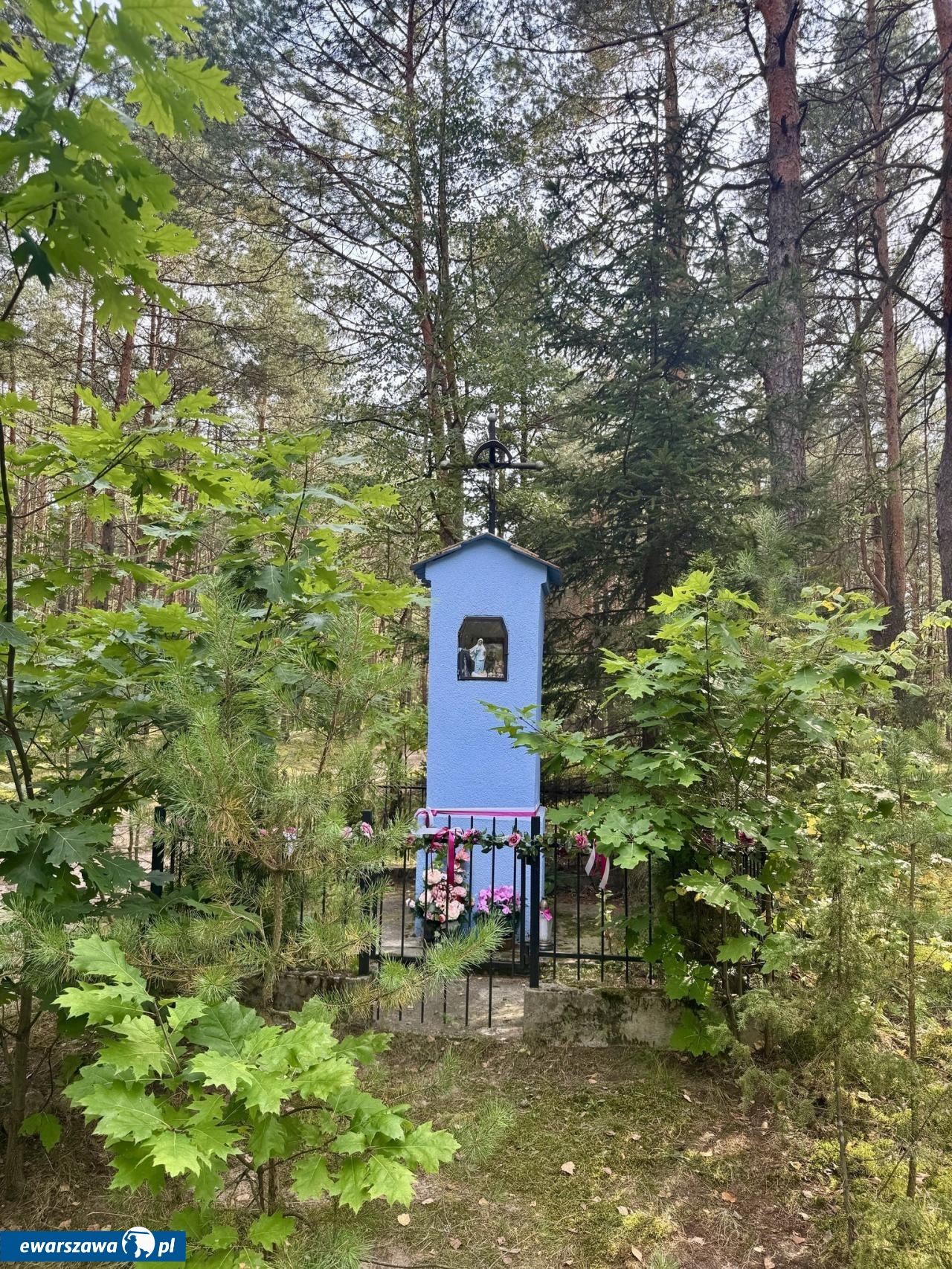 Tak mieszka Aleksandra Konieczna | fot. facebook.com/AktorkiOdkrycia