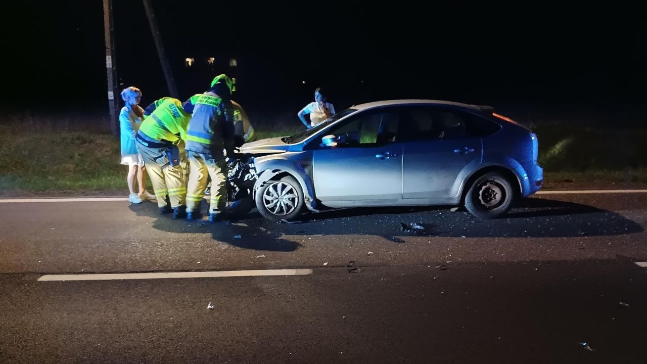 jeleń wpadł pod autobus | fot. OSP w Lesznie/ Facebook