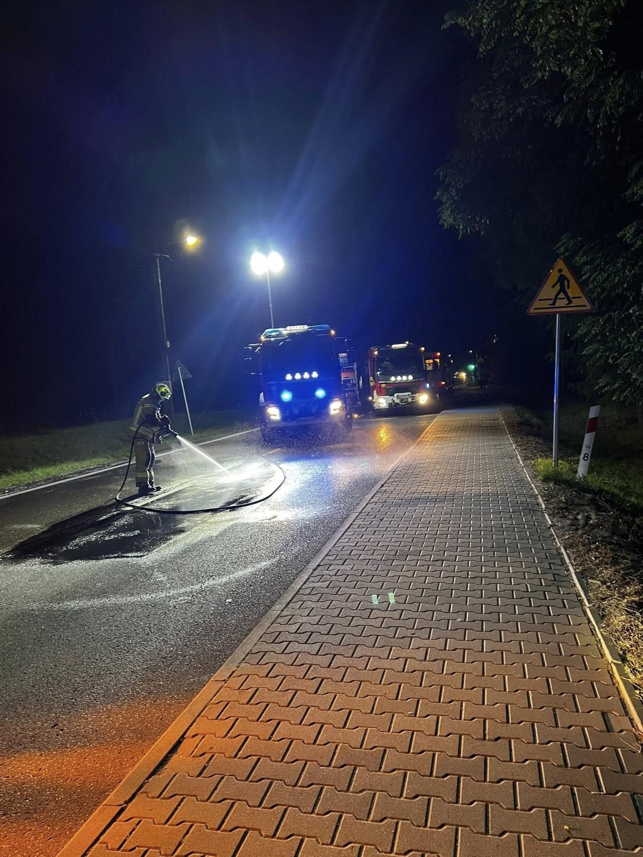 jeleń wpadł pod autobus | fot. OSP w Lesznie/ Facebook