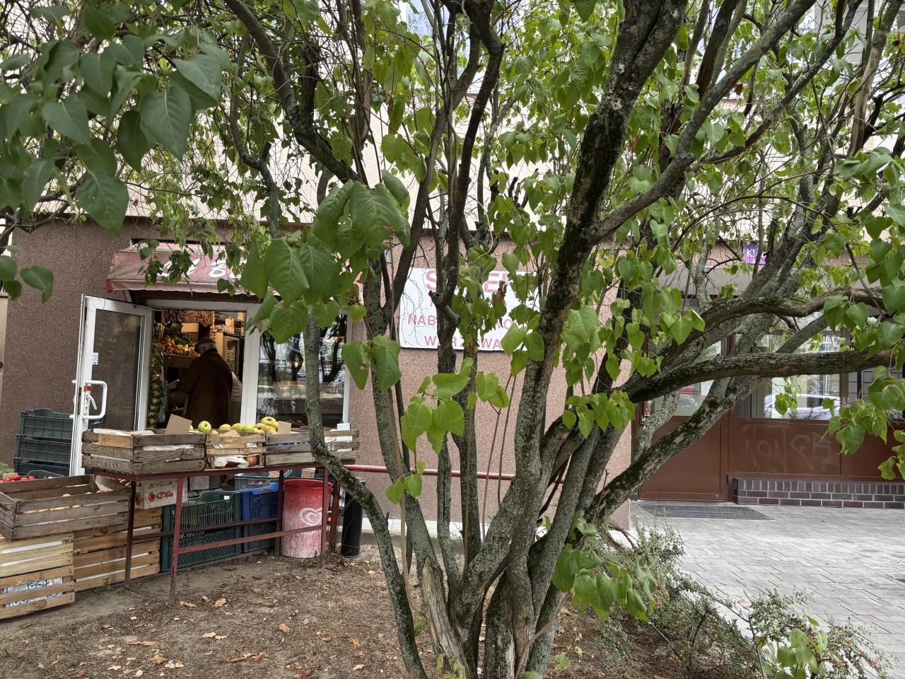 osiedle na którym mieszkał Zdzisław Beksiński | fot. Bartosz Pańczyk