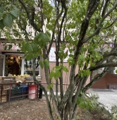 osiedle na którym mieszkał Zdzisław Beksiński | fot. Bartosz Pańczyk