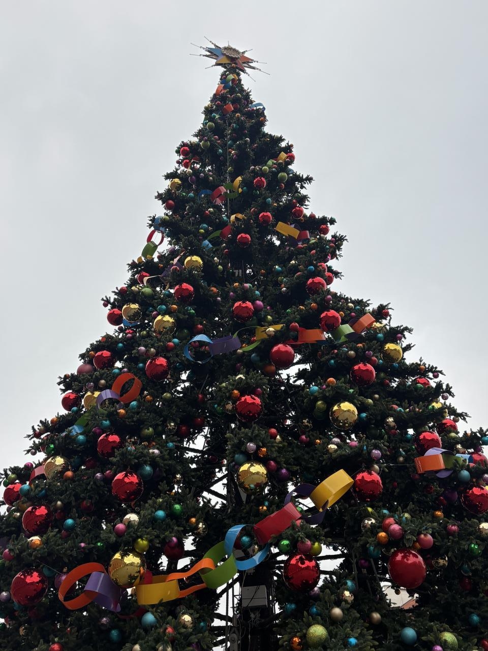 choinka na Placu Zamkowym w Warszawie | fot. Bartosz Pańczyk