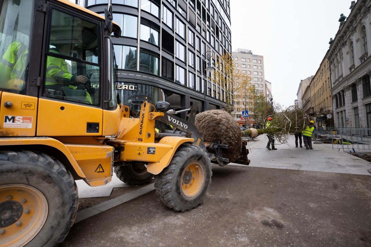 nowe drzewa przy ul. Złotej w Warszawie | fot. facebook.com/warszawa