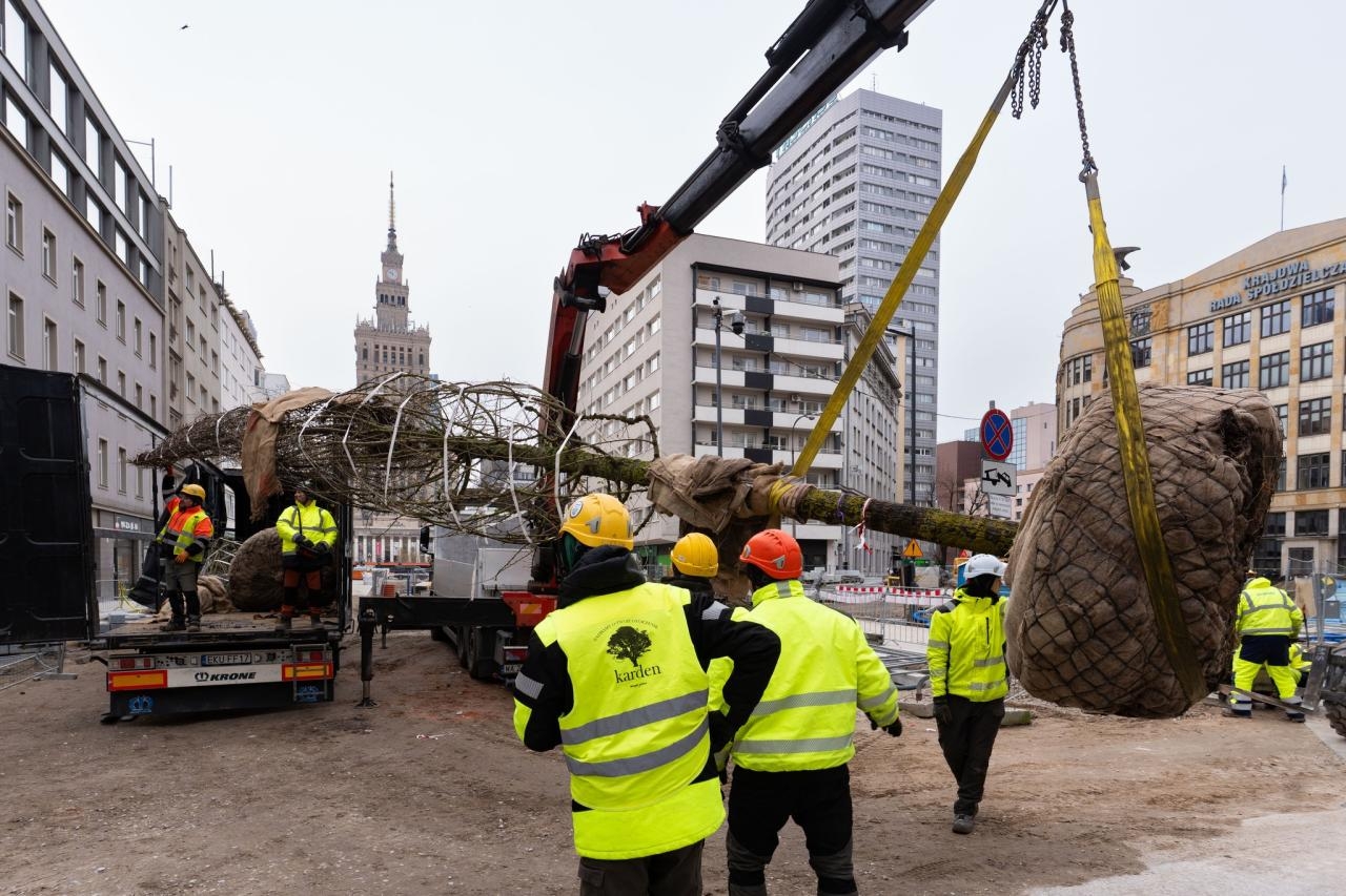 nowe drzewa przy ul. Złotej w Warszawie | fot. facebook.com/warszawa