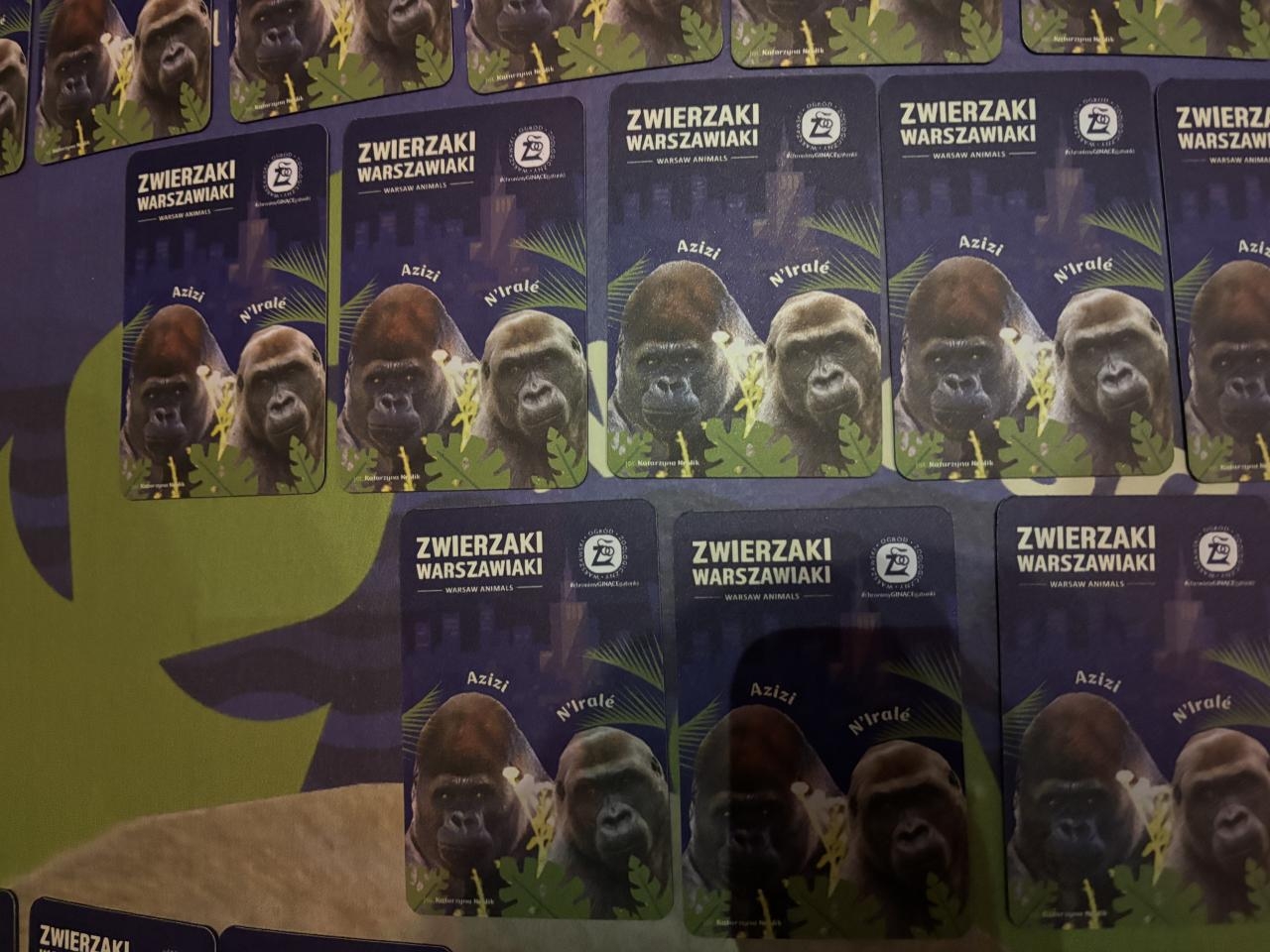 darmowe magnesy od Warszawskiego ZOO | fot. Bartosz Pańczyk