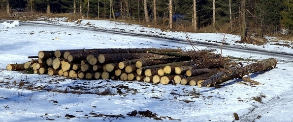 zdj. ilustracyjne | fot. pixabay.com/pl